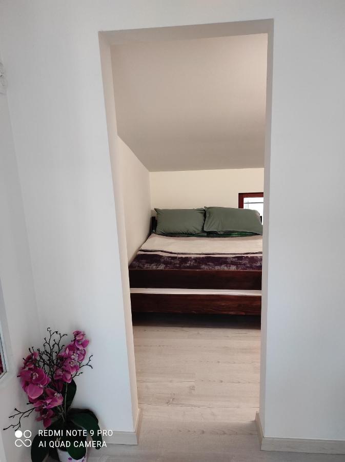 Apartma Izola Buitenkant foto