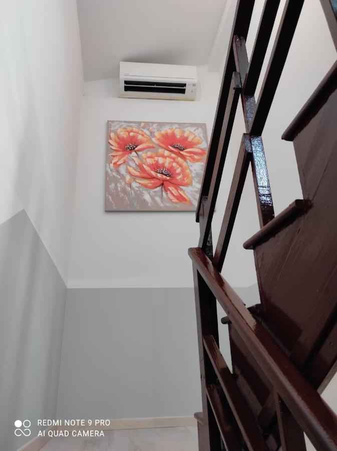 Apartma Izola Buitenkant foto